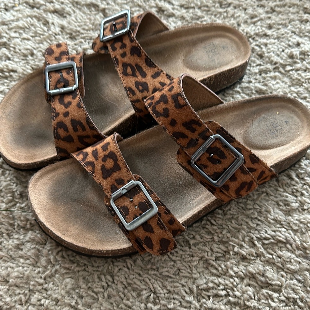 Time and Tru cheetah slides